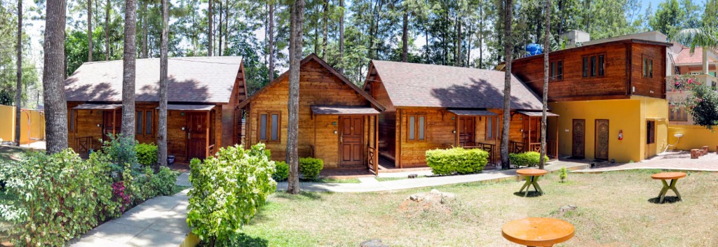 Wooden Cabins within the Resort